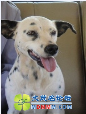 QQͼƬ20131026203150.jpg