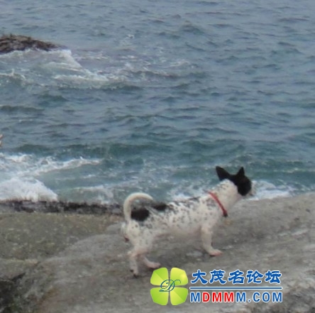 QQͼƬ20131026194404.jpg