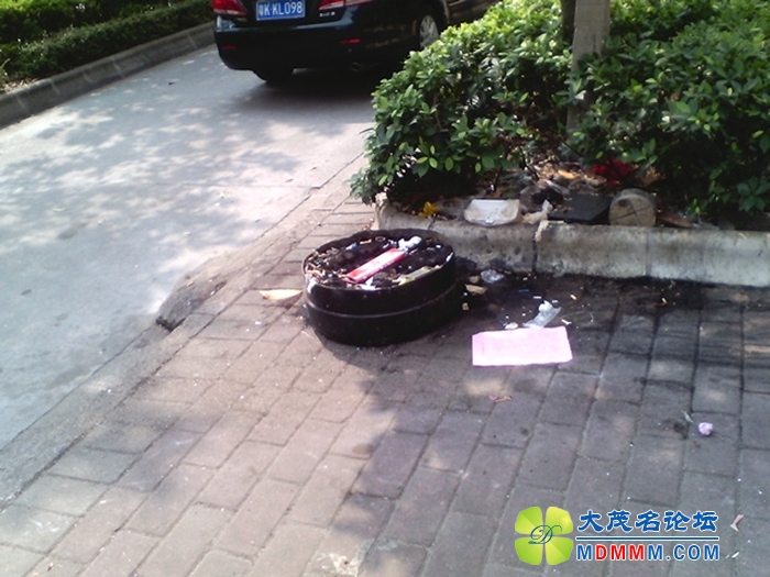 IMG_20131012_102555.jpg