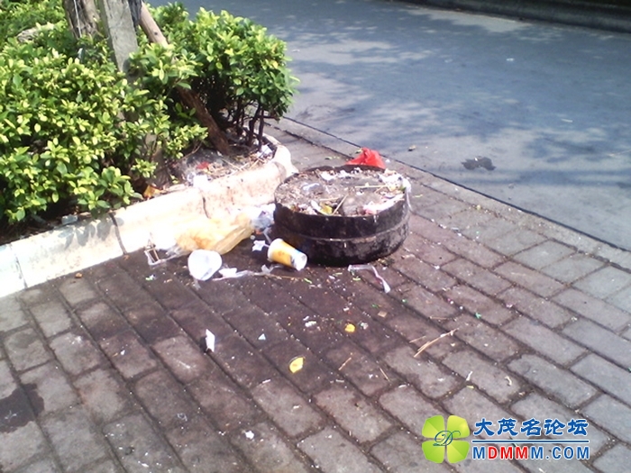 IMG_20131012_102339.jpg