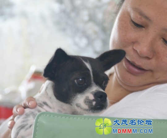 QQͼƬ20131027162951.jpg