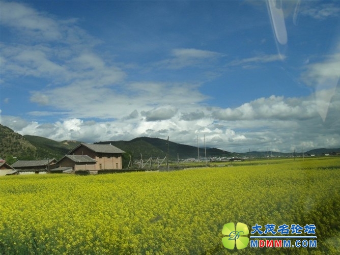 QQͼƬ20131028122758.jpg