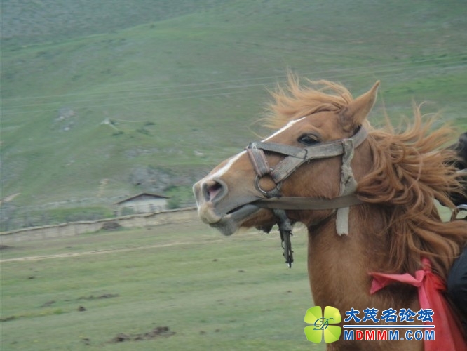 QQͼƬ20131028152751.jpg