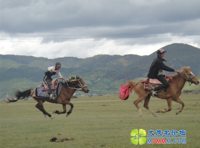 QQͼƬ20131028130249.jpg