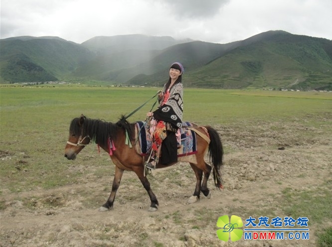 QQͼƬ20131028130320.jpg