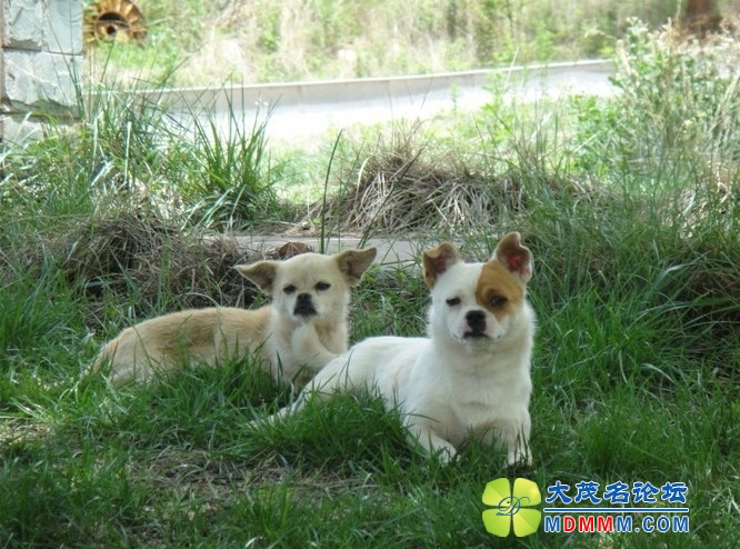 QQͼƬ20131028131331.jpg