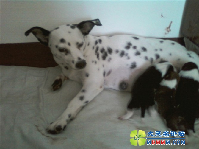 QQͼƬ20131028204024.jpg