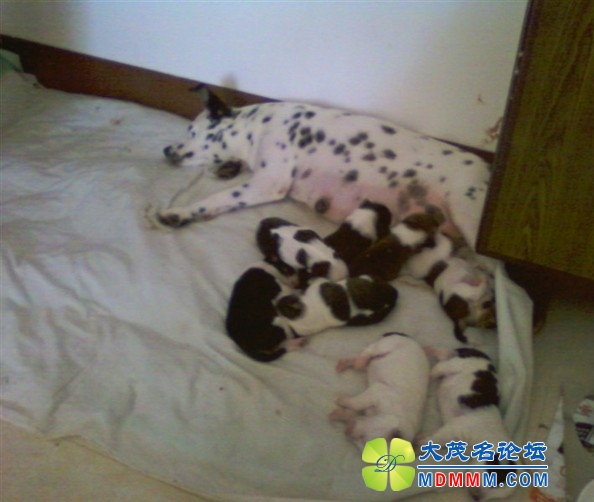 QQͼƬ20131028204104.jpg