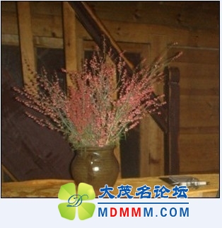 QQͼƬ20131029131701.jpg