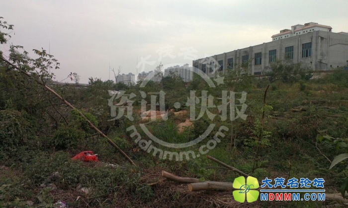QQͼƬ20131029143837.jpg