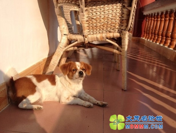 QQͼƬ20131030104921.jpg