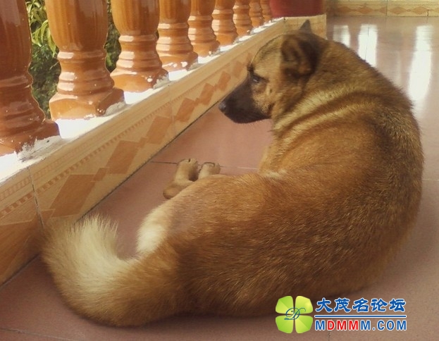 QQͼƬ20131030160928.jpg