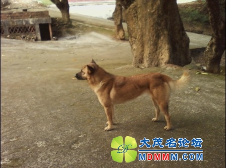 QQͼƬ20131030105423.jpg
