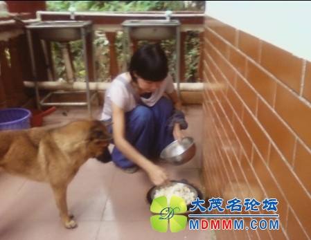 QQͼƬ20131030105607.jpg