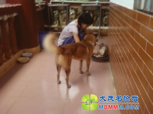 QQͼƬ20131030105537.jpg