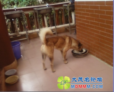 QQͼƬ20131030105637.jpg