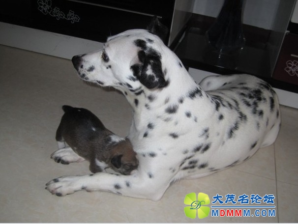 QQͼƬ20131031164136.jpg