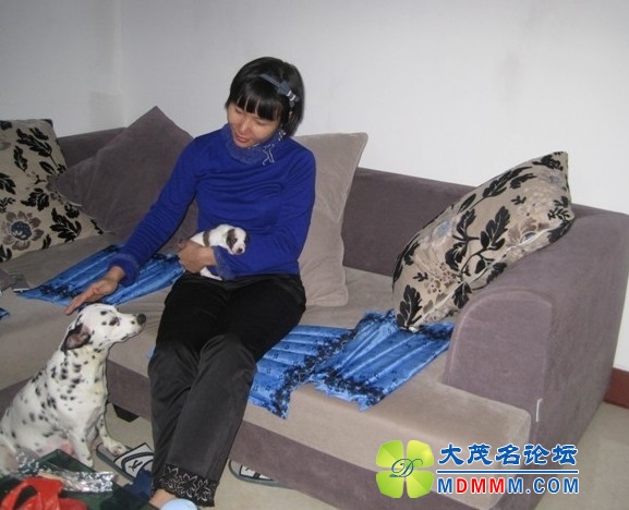 QQͼƬ20131031164859.jpg