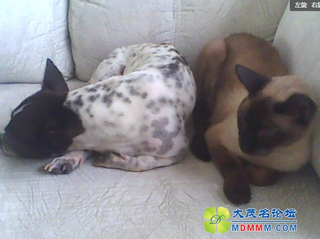 QQͼƬ20131031131828.jpg