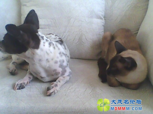 QQͼƬ20131031131855.jpg