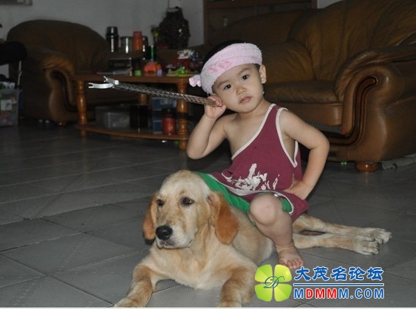 QQͼƬ20131031191139.jpg
