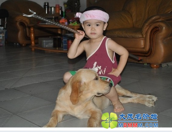 QQͼƬ20131031192431.jpg