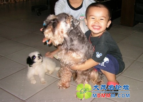 QQͼƬ20131031192839.jpg