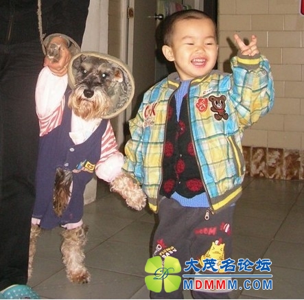 QQͼƬ20131031193134.jpg