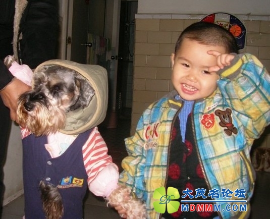 QQͼƬ20131031193258.jpg