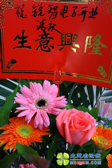 IMG_8264.JPG