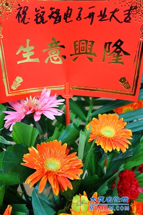 IMG_8266.JPG