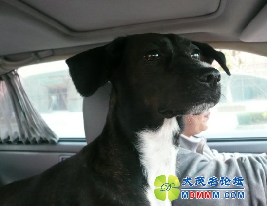 QQͼƬ20131102100853.jpg