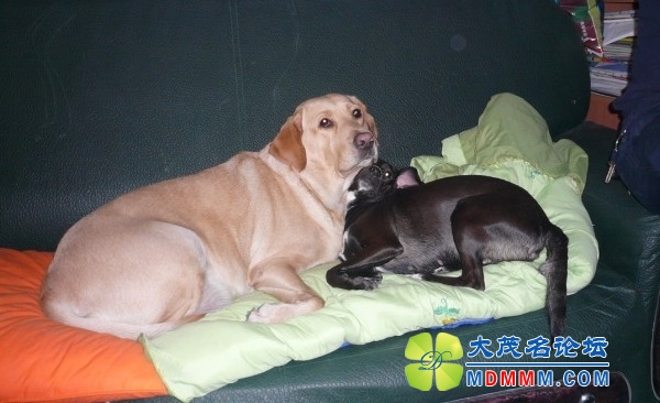 QQͼƬ20131102100928.jpg