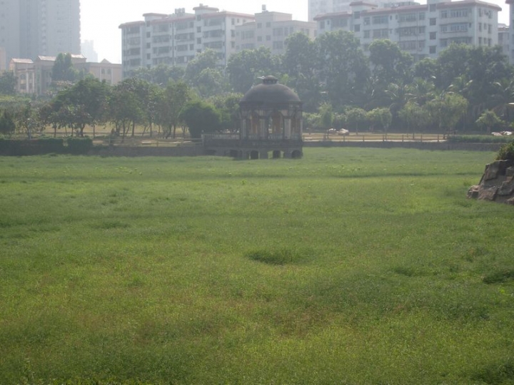 ALIM0728.JPG