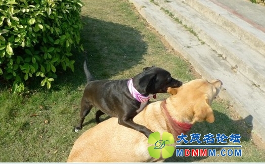 QQͼƬ20131102100727.jpg
