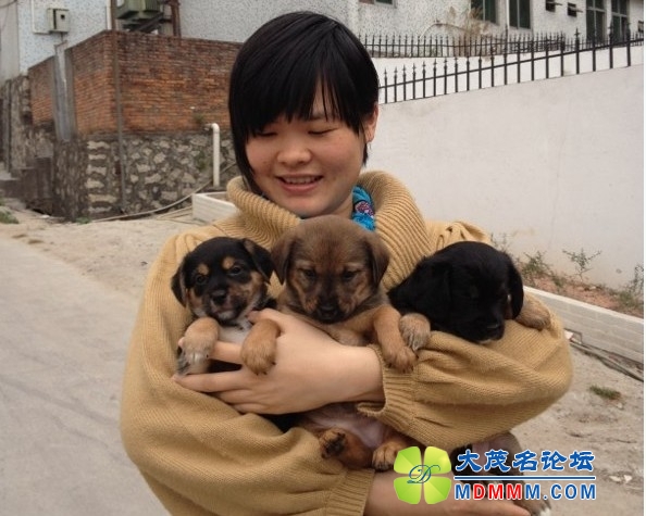 QQͼƬ20131102100612.jpg