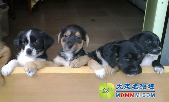 QQͼƬ20131102100514.jpg
