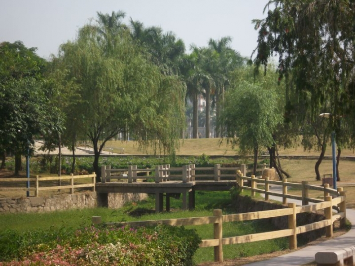 ALIM0732.JPG