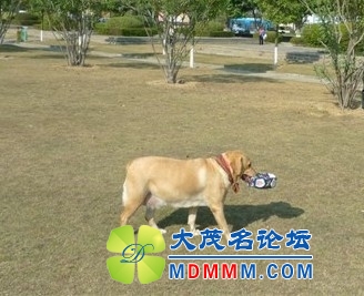 QQͼƬ20131102142044.jpg