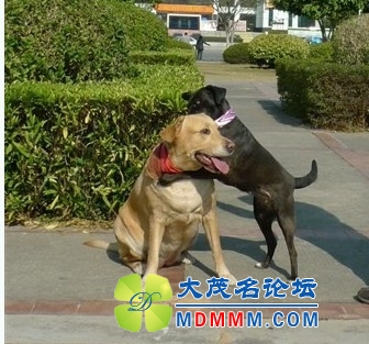 QQͼƬ20131102142010.jpg