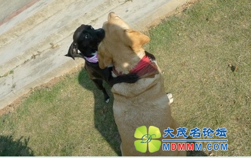 QQͼƬ20131102141947.jpg
