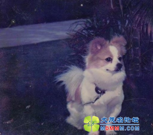 QQͼƬ20131102154600.jpg