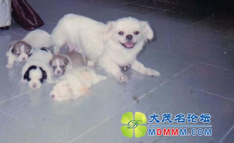 QQͼƬ20131102154536.jpg