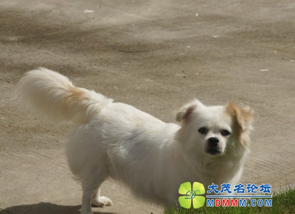 QQͼƬ20131103105311.jpg