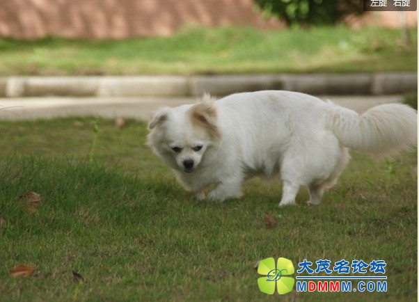 QQͼƬ20131103105240.jpg