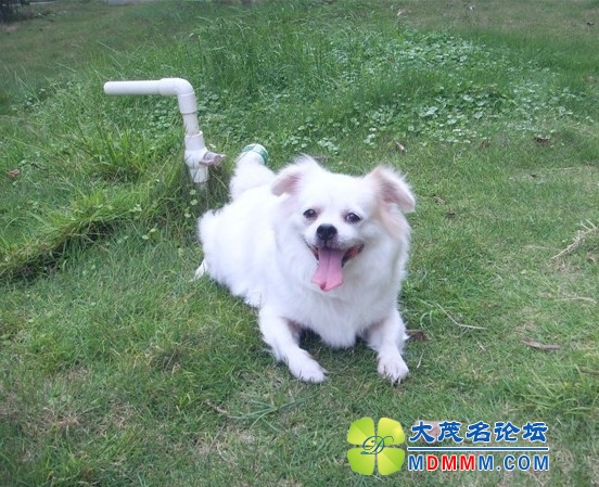QQͼƬ20131103105146.jpg