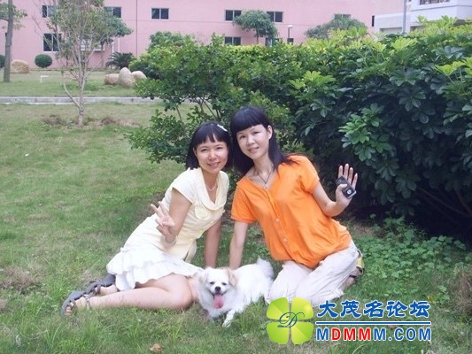 QQͼƬ20131103105131.jpg