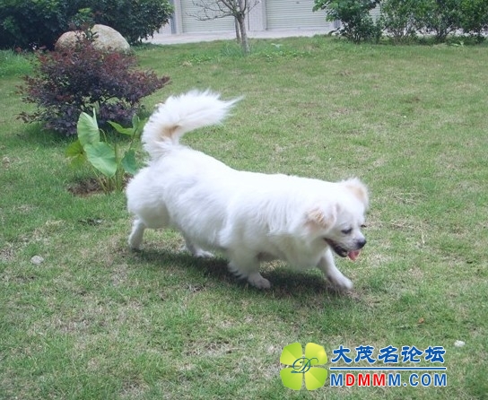 QQͼƬ20131103105043.jpg