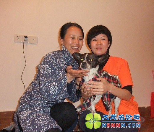 QQͼƬ20131031132419.jpg