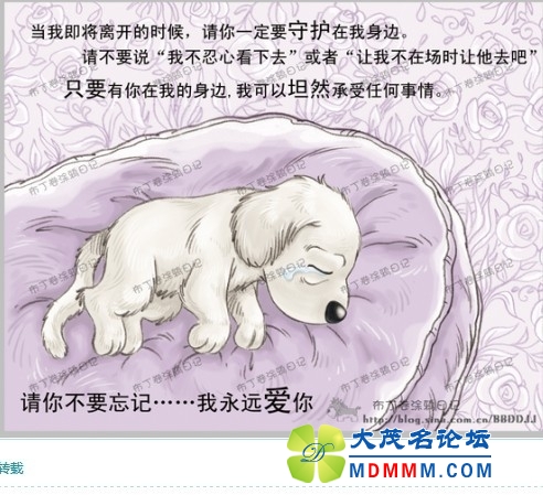 QQͼƬ20131031194931.jpg